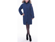 ����� 6 �����_6610 ���