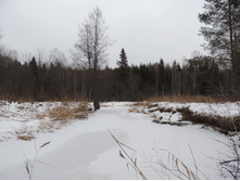 2014-11-30 10.17.26.jpg