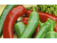 ����� ������������ 147 ������,(��) 3,00 ���. [���.11000215]