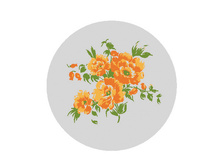 �����-���� ���-��. 43 ���. ���-��� �����-����������. ������ - ����-���. �������-��� �������. ������ 50 ��.