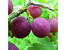 ��������� �������������.jpg