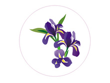 ���-��. 43 ���. ���-��� �����-����������. ������ - ����-���. �������-��� �������. ������ 50 ��.