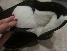 ��������� - ������ ������