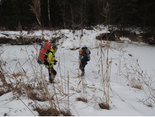 2014-11-30 10.18.21.jpg