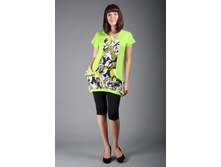 ������ ������ �������: ���-009 ������: �������