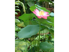 ����� �����-������. ����� ���.JPG