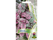 �������� ������� �����.jpg