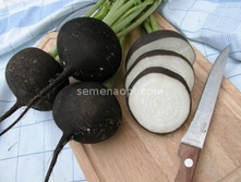 ������ ��������,(��)    3,50 ���. [���.9000355]