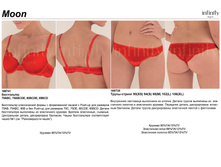 Moon ¦¦T�¦-T�¦-T�¦¦ .jpg