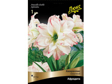 ��������� ��������.jpg