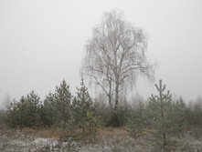 DSCN2823s.JPG