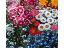 ����� ������ ��� �������� ���� ������ ,(��) 14,00 ���.[���.3004114]