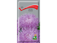 ����� ������.jpg