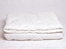 ������ - ������� ��� 300 ��./�2 ��� �������: ����