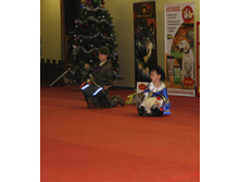 1-IMG_3979.JPG