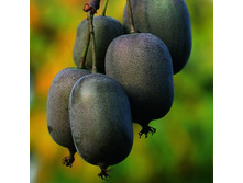 ��������� ������ ���� ���.jpg