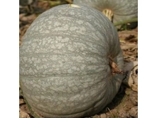 ����� �������� ����������� �������������,(��) 6,30 ���. [���.15000062]