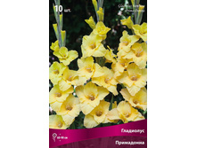 ��������� ������� ����������.jpg