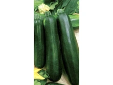 ������� �������� �������,(��) 6,00 ���. [���.5000091]