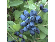 ��������� ��������� �����.jpg