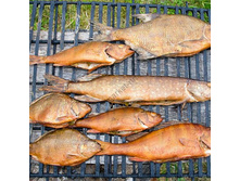 ���� �������� ��������3.jpg