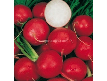 ����� �����,(��) 5,00 ���. [���.12000049]