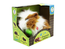 ������� ������ ���� � ���������, �����., ������., ���. 23*13*18 ��