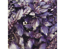 ������� �����,(��) 4,00 ���. [���.1000653]