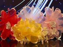 25���. ���.29�.jpg