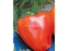 ����� �������  ���� ����,��� ��� (��) 3,50 ���.