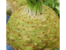 ��������� �����,(��) 3,50 ���. [���.1000349]