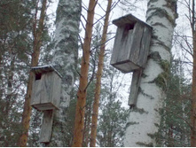 �����������.