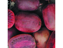 ��������� ������ �������� ������.jpg