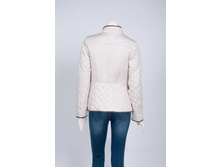 WP 9555 (C W9555.14) ������ 43 ��