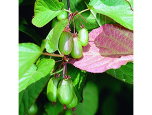 ��������� ��������� ������ ����������.jpg