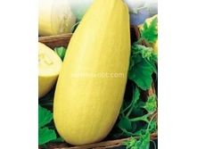 ������� �����,(��) 3,50 ���. [���.5000061]