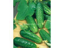 ������ ���� F1 ������������������ 5��,(��) 23,00 ���. [���.10000206]