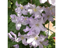 �������� ��������������� �������� �����.jpg