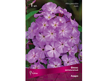 ����� ����������� �����.jpg