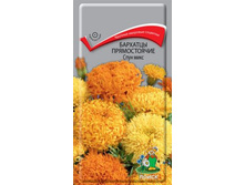 �������� ���� ������������ �����������,(��) 9,00 ���.[���.3000829]