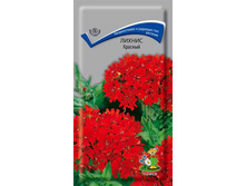 ������ �������.jpg