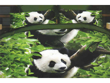 ������� ����� -����.jpg