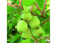 ��������� ������ ������.jpg