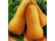 ����� ���������  ���������,(��) 6,00 ���. 6,00 ���.