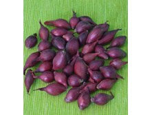 ���-����� ������ ��.jpg