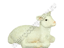 750���. ������ ������� ������� (���������) 24 � 60 ��.png