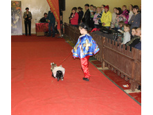 1-IMG_3974.JPG