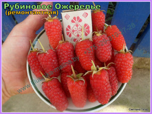 ������ ��������� ��������-130�