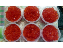 ���� ���� 2014.jpg