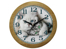 ������ 4365552 -1��..jpg